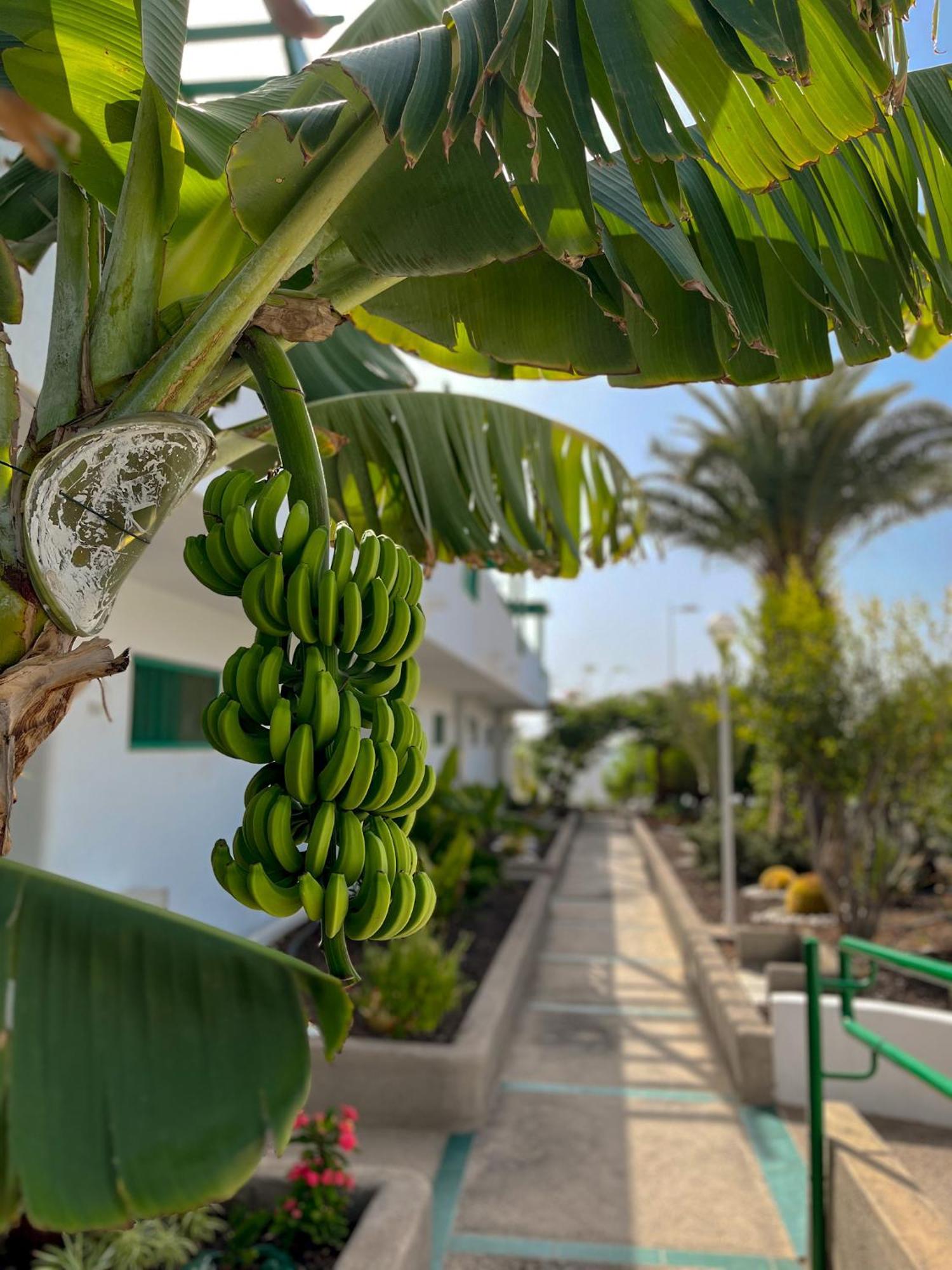 Beautiful Apartment Aguycan Beach 120 Playa Del Aguila Maspalomas  Esterno foto